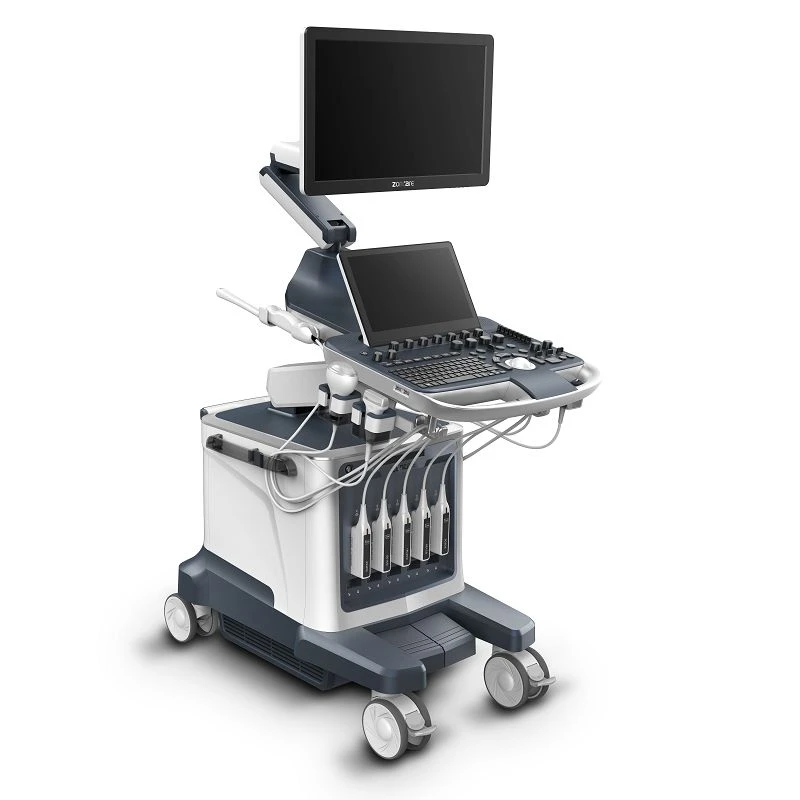 High Resolution Color Doppler Cardiovascular Ultrasound